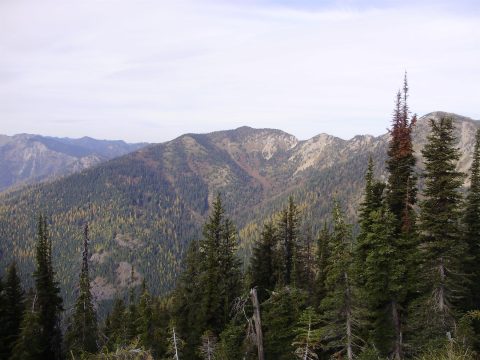 PA110103.jpg