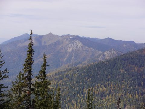 PA110104.jpg