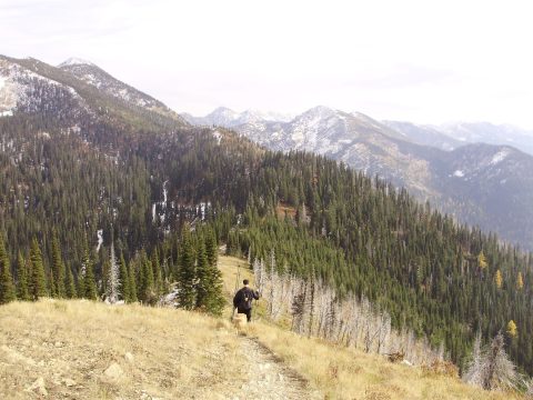 PA110107.jpg