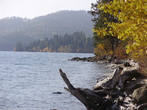PA120128.jpg