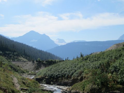 IMG_0166.jpg