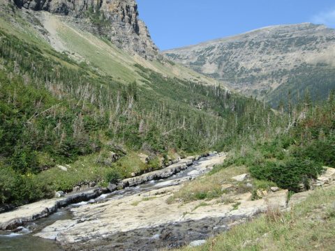 IMG_0167.jpg