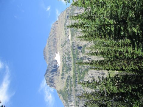 IMG_0174.jpg