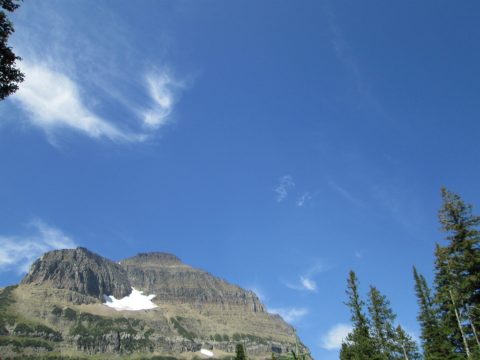 IMG_0175.jpg