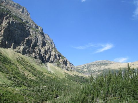 IMG_0184.jpg