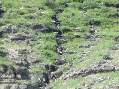 IMG_0192.jpg