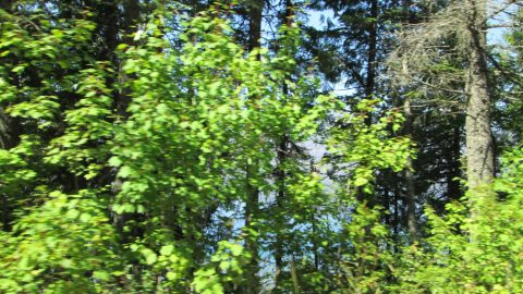 IMG_0205.jpg