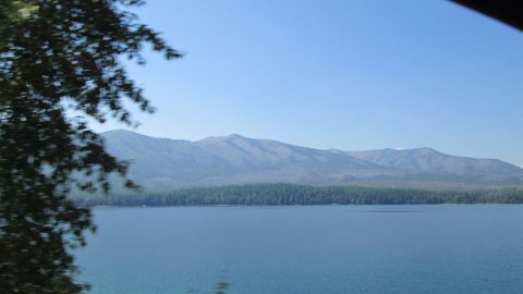 IMG_0210.jpg