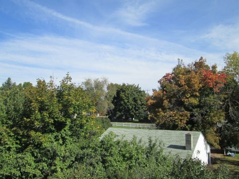 IMG_0227.jpg
